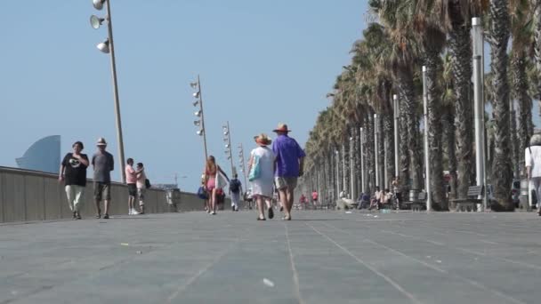 Promenade in Barcelona — Stockvideo