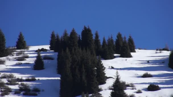 天山山脈の冬 — ストック動画
