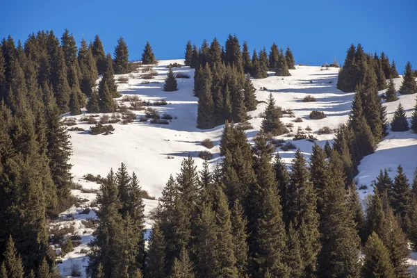 Winter in den Tienshan-Bergen — Stockfoto