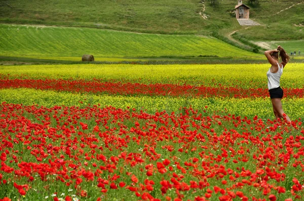 Cultivated fields in the Castelluccio di Norcia Valley, Umbria - Italy — Stock Photo, Image