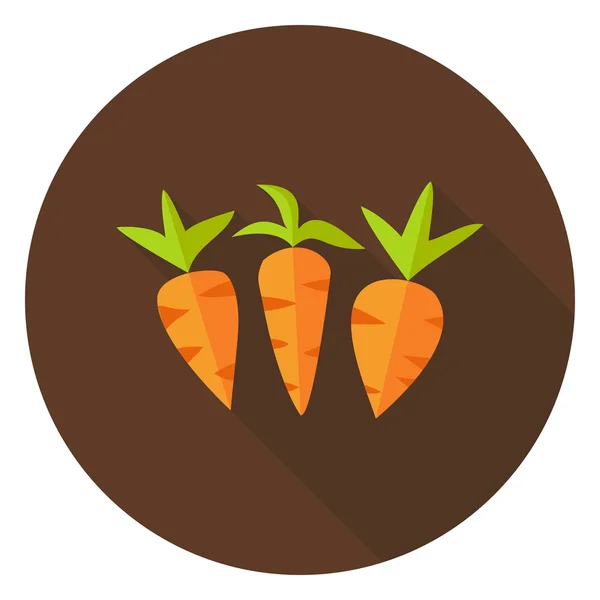 Icona del cerchio di verdure delle carote con ombra lunga — Vettoriale Stock