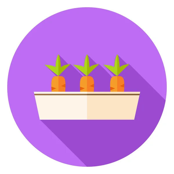 Carrots Vegetables in Garden Pot Circle Icon — Stok Vektör