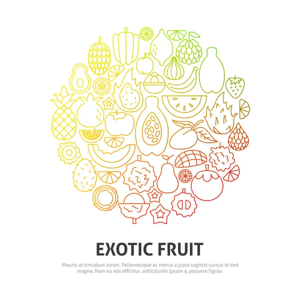 Egzotik Meyve Çemberi Konsepti — Stok Vektör