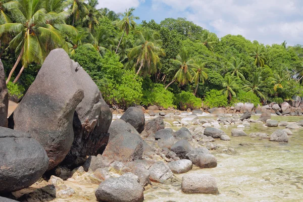 Küste der tropischen Insel. anse royal, mahe, seychellen — Stockfoto