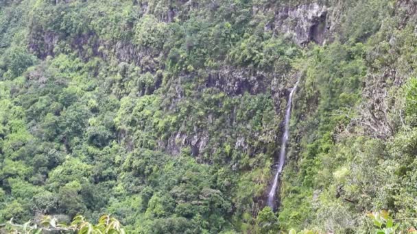 Canyon of Black river, falls. Mauritius — Stock Video
