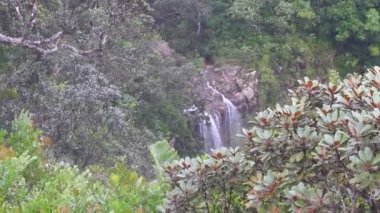 Alexandra falls, Mauritius