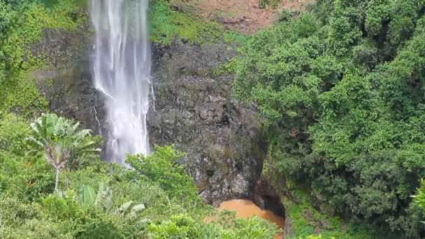 Fondo de la cascada de Chamarel. Mauricio — Vídeo de stock