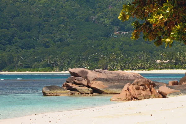 En la costa de Bahía Lazare. Mahe, Seychelles — Foto de Stock