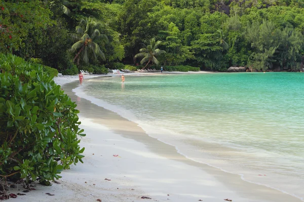 Playa en trópicos. Puerto Launay, Mahe, Seychelles —  Fotos de Stock