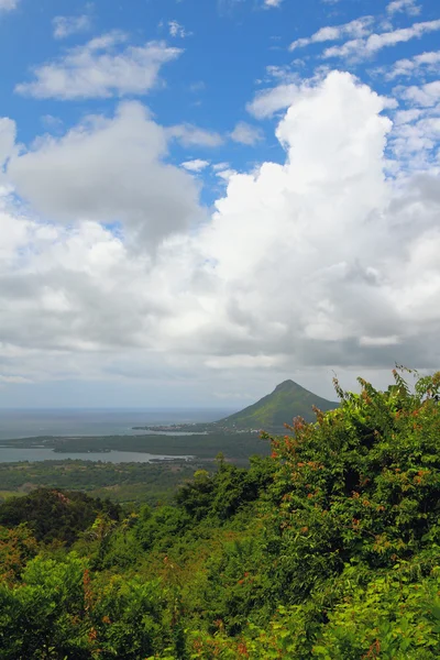 Tropik ada. Riviere Noire, Mauritius