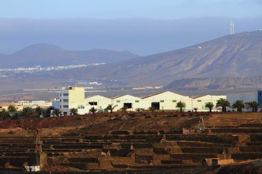 Yerleşim Volkanik ada üzerinde. Arrecife, Lanzarote, İspanya