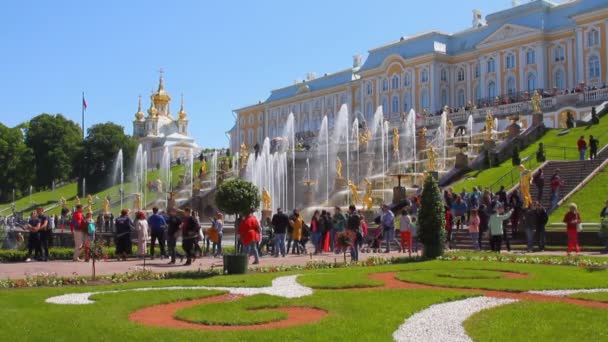 Palace and park ensemble Peterhof. St. Petersburg, Russia — Stock Video