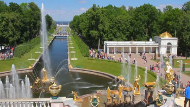 Fontanna i park, Peterhof. St. Petersburg, Federacja Rosyjska — Wideo stockowe