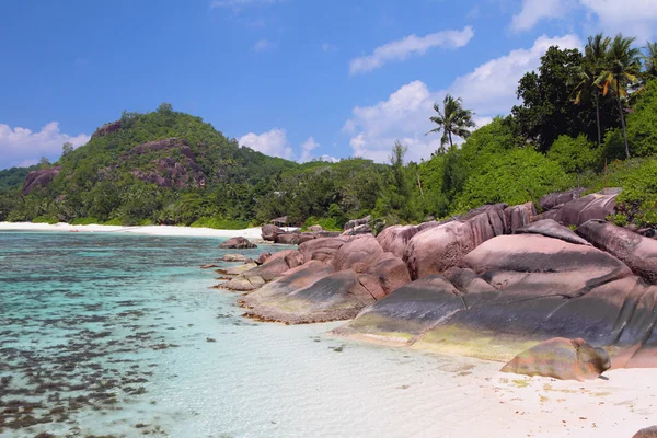 Tropische kust, Golf Baie Lazare. Mahe, Seychellen — Stockfoto