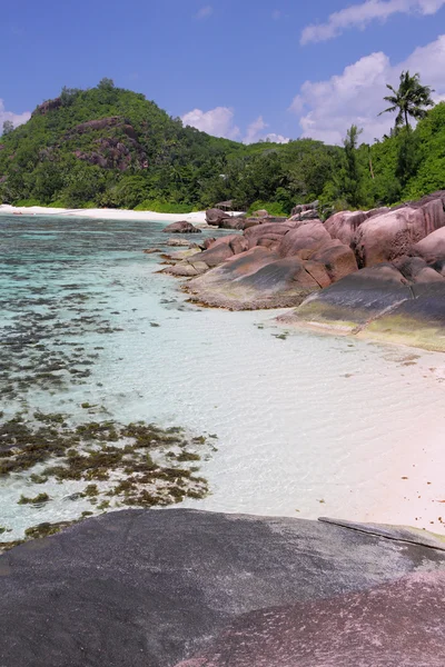 Tropici, golfo Baie Lazare. Mahe, Seychelles — Foto Stock