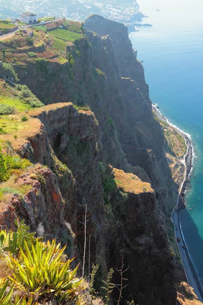 Madeira, Portekiz adanın kıyısında — Stok fotoğraf