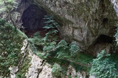Karst deliğinde yürüyüş parkuru. Skocjan, Slovenya