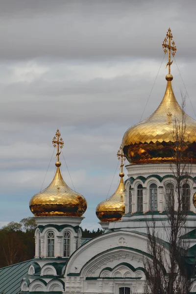 Cupole Della Cattedrale Della Trinità Raifa Tatarstan Russia — Foto Stock