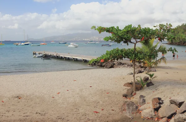 Praia na baía Anse-a-l 'Ane. Fort-de-France, Martinica — Fotografia de Stock