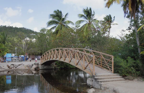 Foot bridge through channel. Les Trois-Îlets, Martinique — Stock Photo, Image