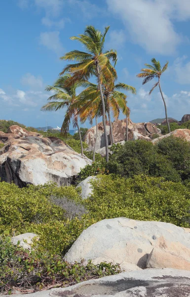 На острове Virgin-Gorda, Tortola — стоковое фото