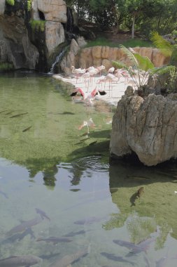 Biopark içinde. Valencia, İspanya