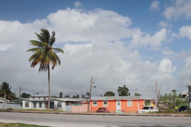 Bahar bahçe otoyol boyunca evleri. Bridgetown, Barbados