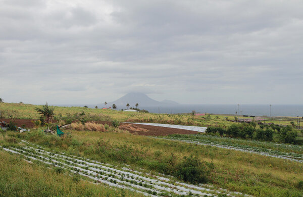 Ферма с видом на остров вулкан Невис. Сент-Китс
