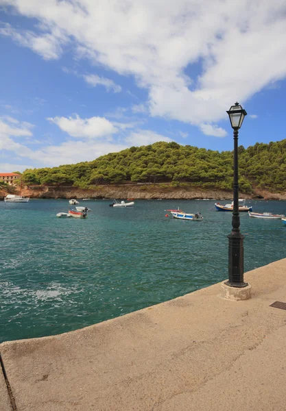 Setin lamba. Assos, Kefalonia, Yunanistan — Stok fotoğraf