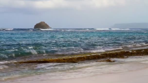 Морські хвилі працює на узбережжі. Анс-де-Shatto, Гваделупа — стокове відео