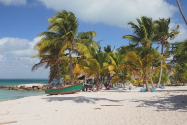 Sandy beach on sea coast. Isla Saona, La Romana, Dominicana