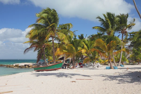 Zandstrand op Zeekust. Isla Saona, La Romana, Dominicana Stockafbeelding