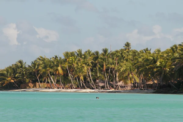Tropical beach. Palmilla, Dominican republic — Stock Photo, Image