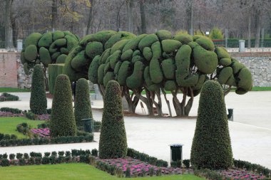 Retiro park'ında. Madrid, İspanya