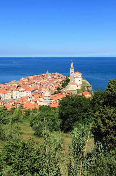 Visa på Piran. Slovenien, Adriatiska havet — Stockfoto