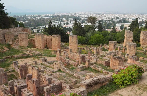 Ruins of Punic Carthago on Bierce's hill. La Gulett, Tunisia — Stock Photo, Image