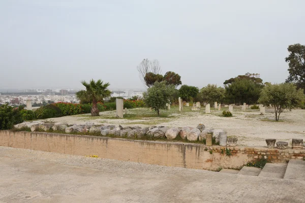 V archeologického parku. La Goulett, Tunisko — Stock fotografie