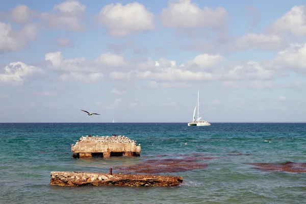 Muelle de hormigón destruido. Isla Saona, La Romana, República Dominicana —  Fotos de Stock