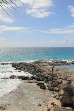 Taşlı okyanus kıyısında. Guadeloupe
