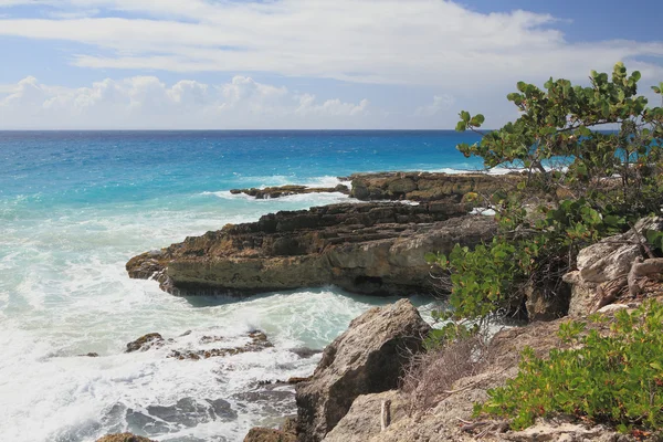 Kayalık sahil ve okyanus. Guadeloupe — Stok fotoğraf