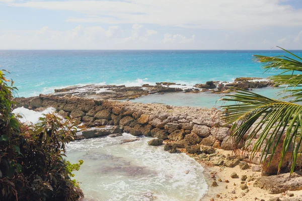 An der Küste des Atlantiks. Guadeloupe — Stockfoto