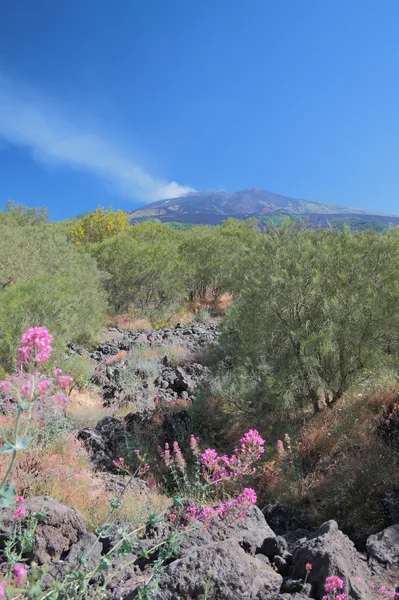 A un pie de volcán. Etna, Sicilia, Italia —  Fotos de Stock