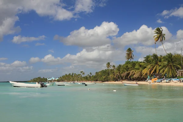 Тропічний узбережжя. Bayahibe, Домініканська Республіка — стокове фото