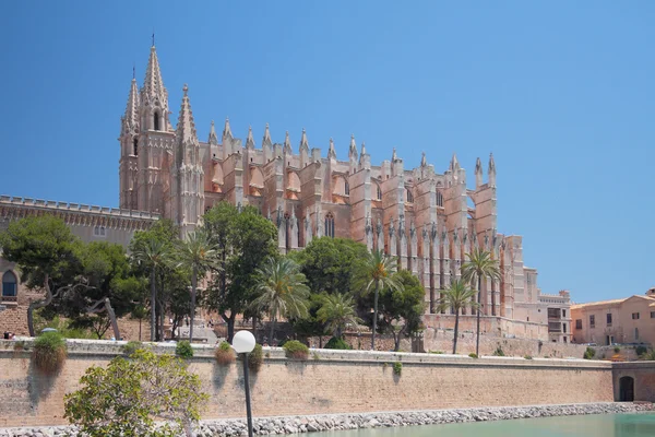 Gotycka katedra. Palma-de Majorka, Hiszpania — Zdjęcie stockowe