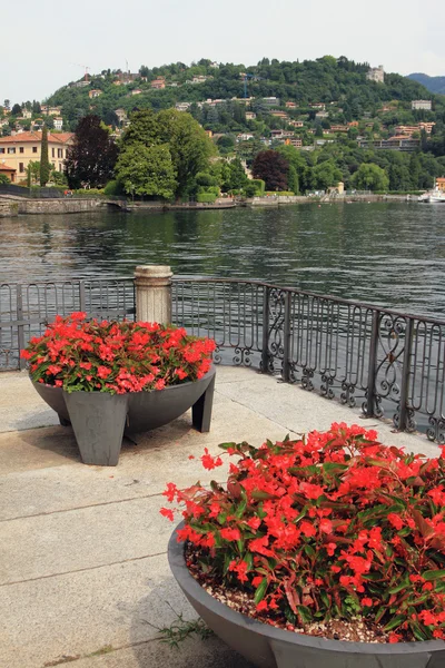 Doniczki na nabrzeże jeziora. Como, Włochy — Zdjęcie stockowe