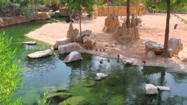 Afrika savana biopark içinde. Valencia, İspanya