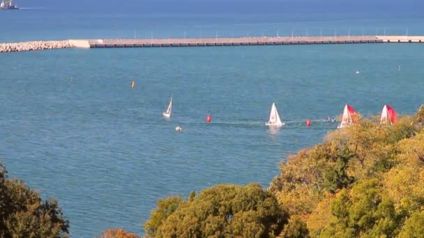 Regata de vela na área de água do porto. Sochi, Rússia — Vídeo de Stock