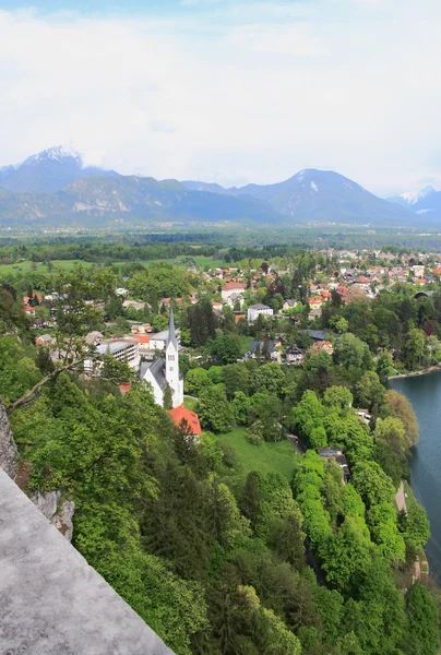 Slovenië, Bled, heilige Martin's kerk — Stockfoto
