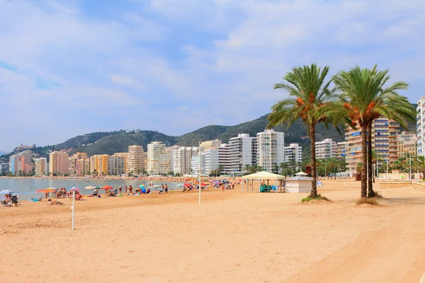 Sandy beach resort Town. Cullera, İspanya