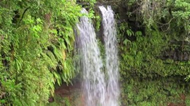 Düşüyor. Amber Dağları, Madagaskar'ın Milli Parkı